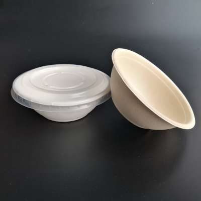 Sugar cane pulp biodegradable bowl