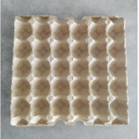 Biodegradable Paper Pulp Egg Tray