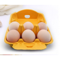 biodegradable Large capacity eco paper pulp egg trays for sale