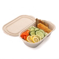 Disposable Biodegradable transparent PLA Salad lid for bagasse bowl