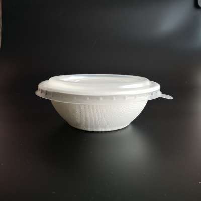 Disposable salad bowl biodegradable bowls sugarcane compostable bowl